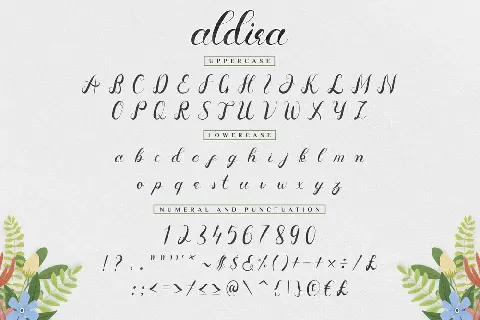 Aldira Calligraphy Script font