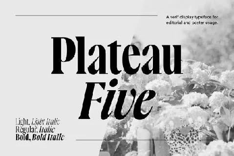 Plateau Five Family font