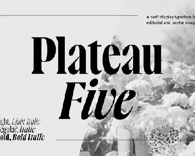 Plateau Five Family font