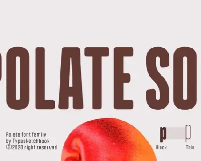 Polate Soft Family font