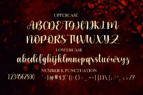 Shadow Script Typeface font