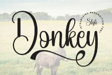 Donkey Script font