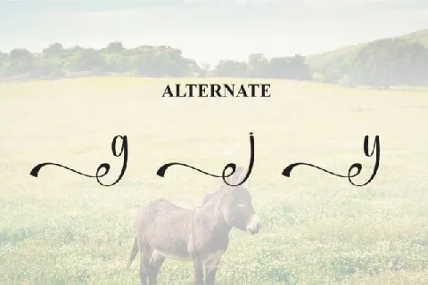 Donkey Script font