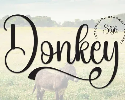 Donkey Script font