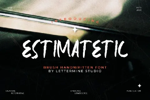 Estimatetic font