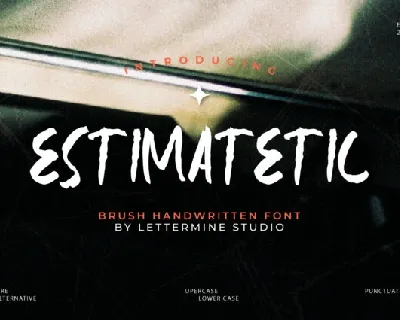 Estimatetic font