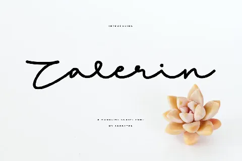 Zalerin font