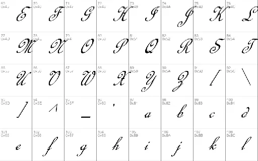 Calligraphy Script font