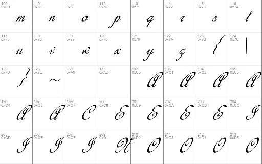 Calligraphy Script font