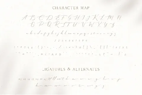 Sophiscated font