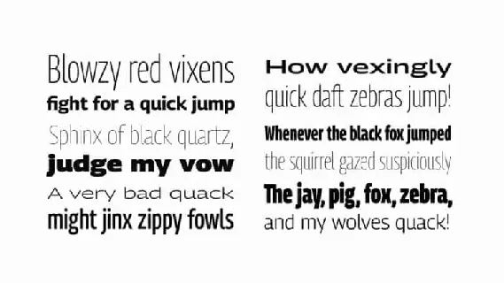 Georama Sans Serif font