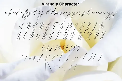 Virandia font