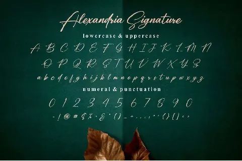 Alexandria Signature font