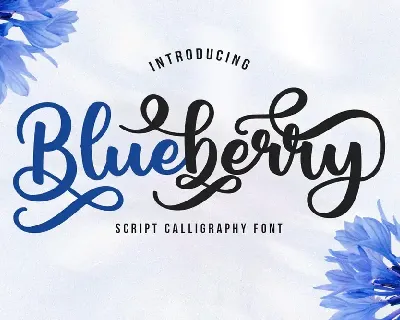 Blueberry Demo font