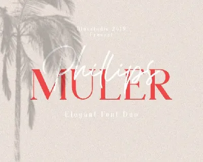 Phillips Muler Duo font