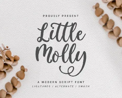 Little_Molly_Personal_Use font