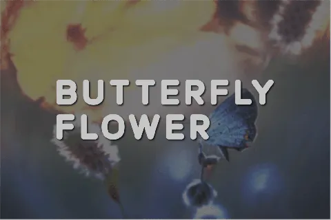 Butterfly Flower font