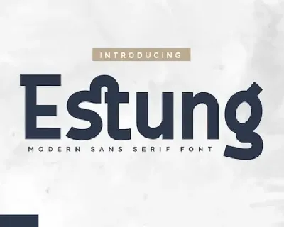 Estung Sans Serif font