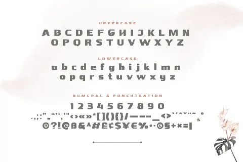 NEBORA font