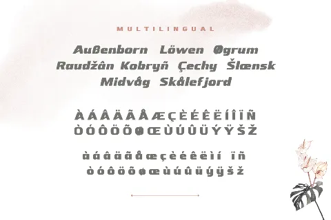 NEBORA font