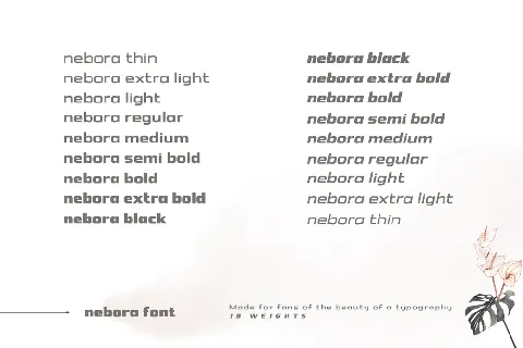 NEBORA font