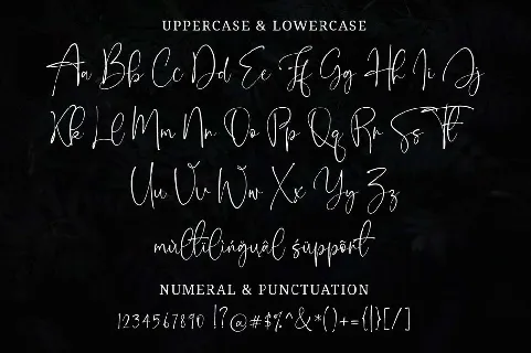 Onesty Signature font