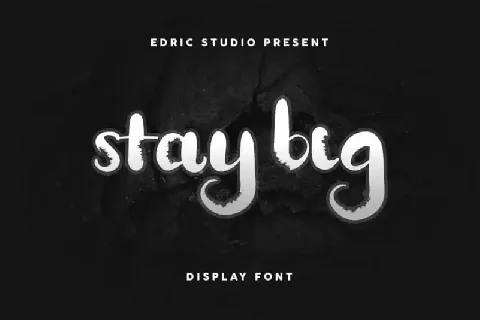 Stay BIG Display Decorative font