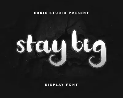 Stay BIG Display Decorative font