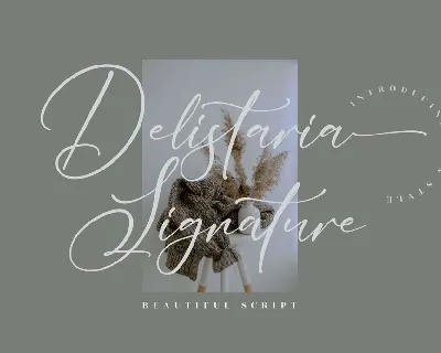 Delistaria Signature font