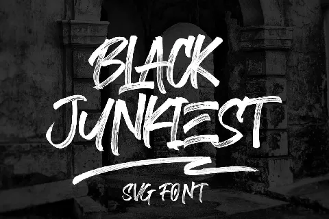 Black Junkiest font