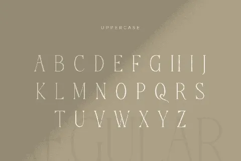 SS Legacy font