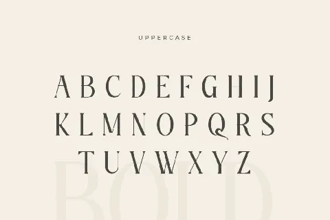 SS Legacy font