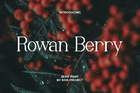 Rowan Berry Demo font