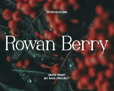 Rowan Berry Demo font