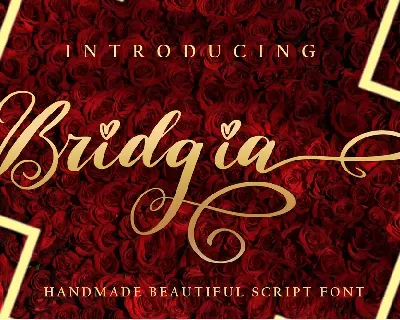 Bridgia font