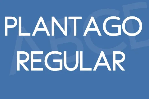 Plantago font