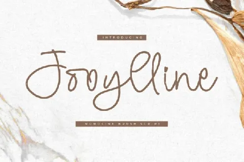 Jooylline font