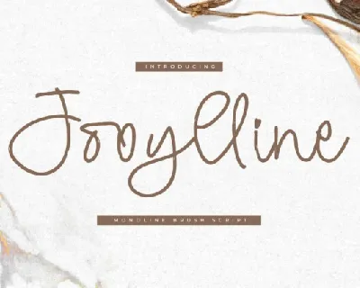 Jooylline font