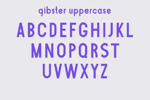 Gibster Sans Serif font