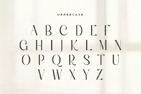 Silky font