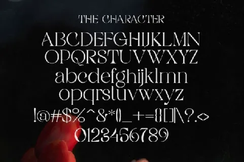 Rigata Typeface font