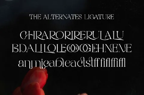 Rigata Typeface font