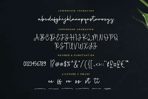 Bougenville Free font