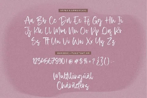 Authentica Typeface font
