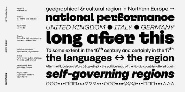 SFT Schrifted Sans Family font