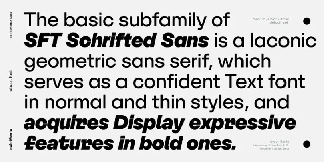 SFT Schrifted Sans Family font