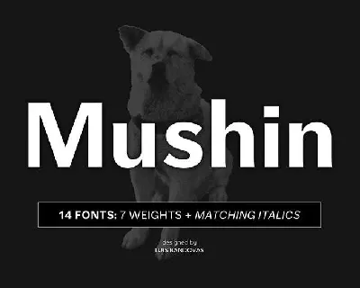 Mushin font