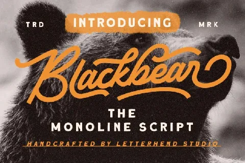 Blackbear font