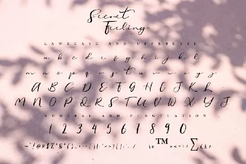 Secret Feeling Calligraphy font