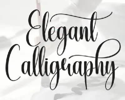 Elegant Calligraphy font